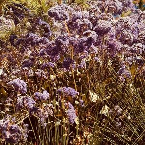 Meet your Posher, Rabea